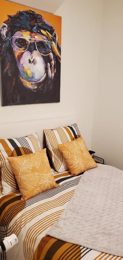 Triangle D'Or - Calme Et Cosy, Appartement 1 Chambre Σεν-Κεντέν Εξωτερικό φωτογραφία